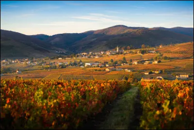 Il fut l'infatigable ambassadeur du Beaujolais ; quel est son nom ?