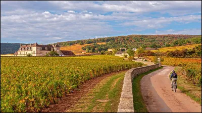 Quel écrivain est l'auteur du roman "Le beaujolais nouveau est arrivé" ?