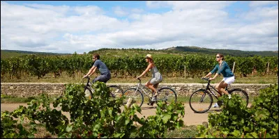 Le beaujolais nouveau est ...