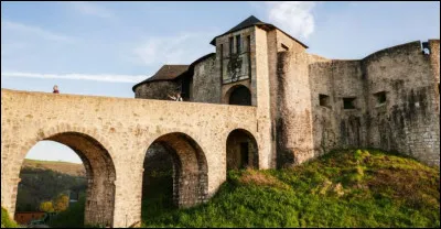 Quelle est cette ville de 2 900 habitants, située au sud-ouest de Pau dans les collines du pays de Soule ?
