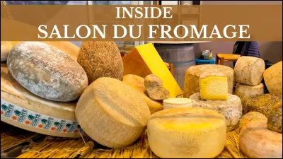 Quel est le type de productions de la vache ?