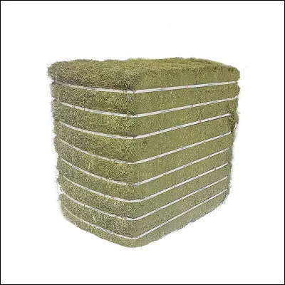 Quelle quantité de fourrage mange une vache par jour ?