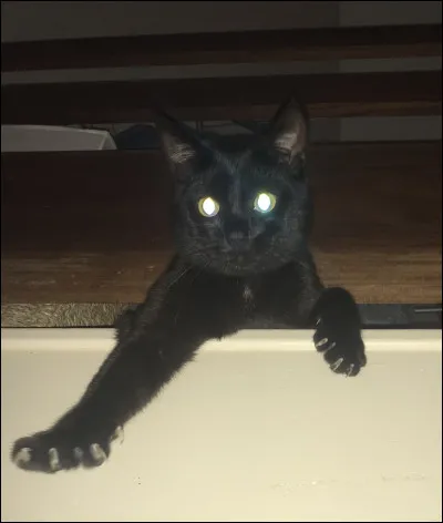 Tu pr&eacute;f&egrave;res :