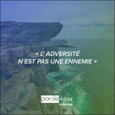 Vous êtes plutôt : (Partie 2)