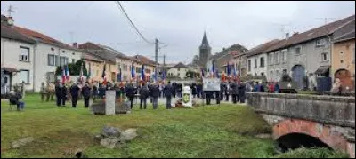 Nous sommes en Lorraine, aux commémorations des 80 ans de la Libération de Vacqueville (le 2 novembre 2024). Village de l'aire d'attraction Bachâmoise, traversé par la Verdurette, il se situe dans le département ...