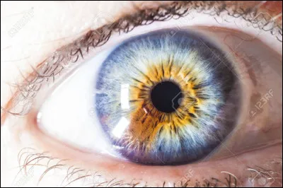 Tu as les yeux de quelle couleur ?