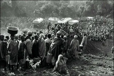 Combien de victimes a fait le génocide au Rwanda en 1994 ?