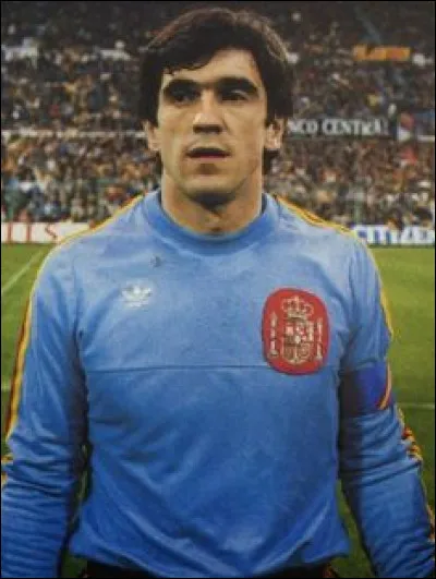 A quel geste Luis Arconada a-t-il donné son nom depuis la finale de l'Euro 1984 ?