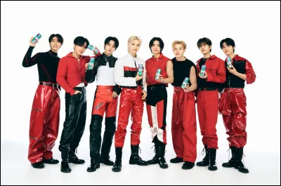 Veux-tu une photo éditée ? (Avec des oreilles de lapin, stickers, etc.)