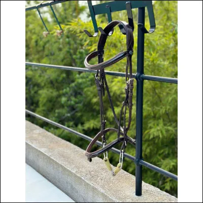 Est-ce un licol ou un filet ?