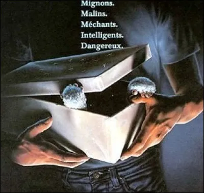 On appelait le joueur dont le jeu était mesquin...