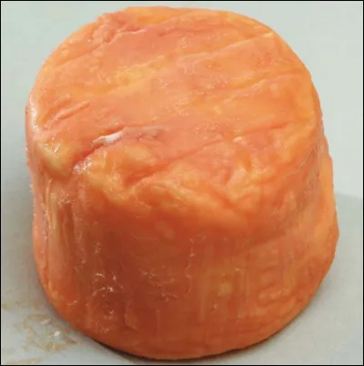 Quel nom est celui d'un fromage ?