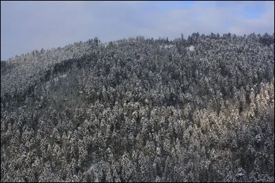 A quelle altitude situez-vous le point culminant du département ?