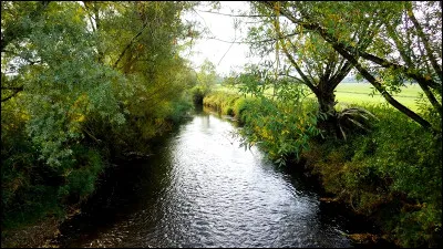 Quelle est cette rivière, longue de 75 km, qui prend sa source au massif du Donon et coule vers l'ouest pour rejoindre la Meurthe près de Lunéville ?