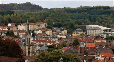 Quelle est cette ville de 10 000 habitants, née de l'exploitation du minerai de fer et de l'industrie sidérurgique, située dans la vallée de l'Alzette, à la frontière luxembourgeoise ?