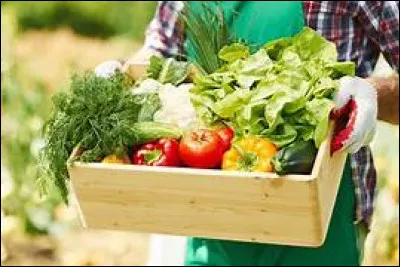 Quel cours d'eau prend sa source tout près de Foncine-le-Haut dans le Jura ?