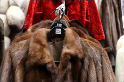 Qu'est-ce que le lanugo ?