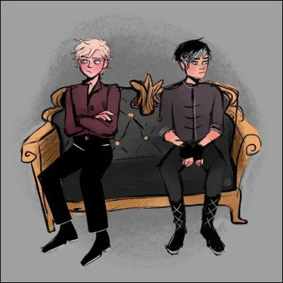 Laquelle de ces affirmations est fausse ?