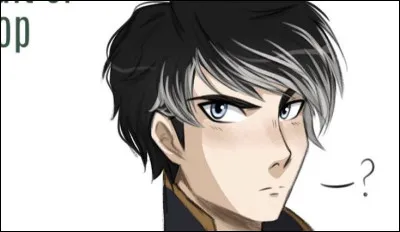 De quelle couleur sont ses cheveux ?
(plusieurs réponses attendues)