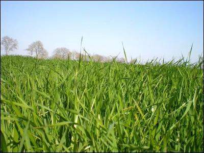 Quel Guerrier Divin peut contrôler les esprits de la Nature ?