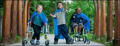 Laquelle n'est pas une des 5 catégories d'handicaps définies en France ?