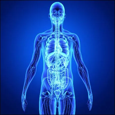 Quel phénomène physiologique implique une interaction entre les systèmes vestibulaire, proprioceptif, visuel et moteur ?