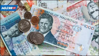 Quel est, en moyenne, le salaire mensuel brut d'une personne active en Mongolie ? (En euros)