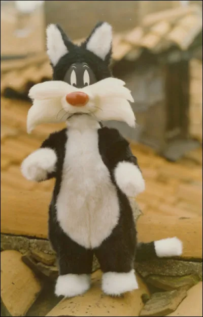 Sacré Grosminet !
Est-ce que cette peluche est une poupée Bella ?