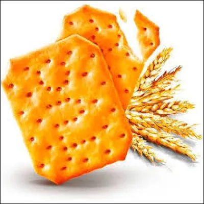 Quel est le nom de ce biscuit apéritif ?