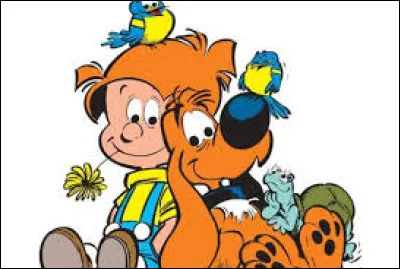 De ces trois albums de "Boule et Bill" lequel n'existe pas ?