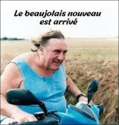 Le vin du Beaujolais est produit au nord du département du Rhône. Sur quel autre territoire fabrique-t-on aussi quelques hectares de ce vin ?