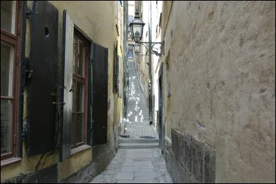 Tu marches prudemment dans une ruelle quand au loin tu aper&ccedil;ois un zombie, o&ugrave; te caches-tu ?