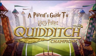 Je fais partie de l'équipe de Quidditch :