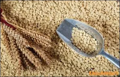 Les crozets sont-ils une spécialité bretonne ?