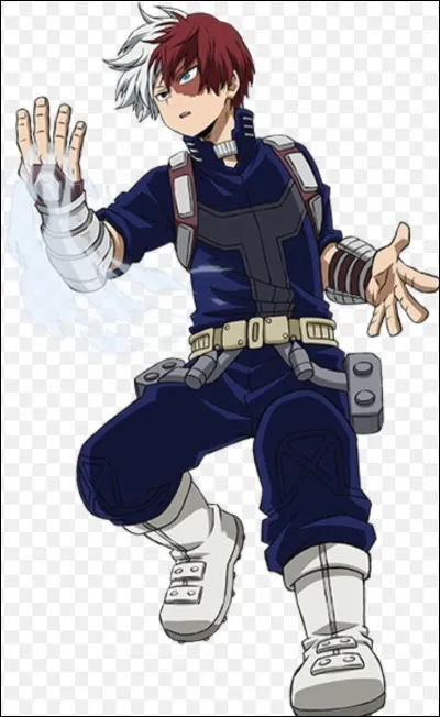 Commençons par Shoto, de "My Hero Academia", quel est son alter ?
