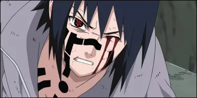 Passons à Sasuke de "Naruto", lequel de ces objectifs n'a-t-il jamais voulu atteindre ?