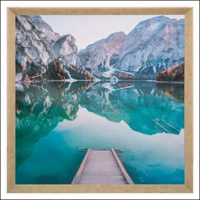 Quelle image tattire le plus ?