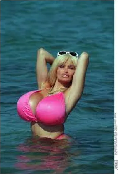 Célébrités - Quel est le nom de cette célébrité ayant marqué les esprits par sa forte poitrine ?