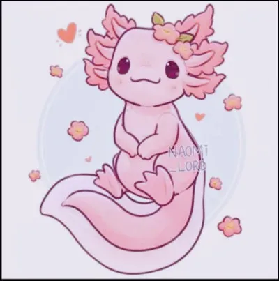 Quel est ton animal préféré ?