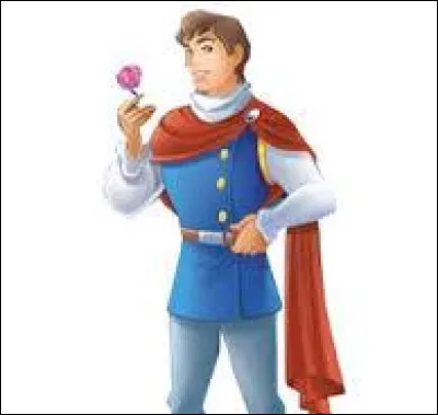 Qui est ce prince Disney ?