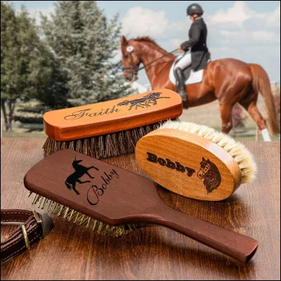 Laquelle de ces brosses n'existe pas ?