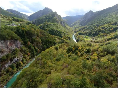 Quelle est cette rivière de 144 kilomètres, traversant le Parc National de Durmitor, connue pour son canyon qui est le plus grand d'Europe et un site particulièrement prisé pour le rafting ?