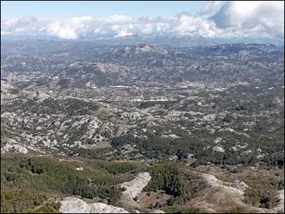 Quelle est l'unité monétaire officielle du Monténégro ?