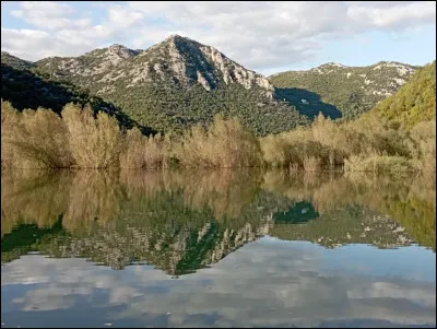 Quelle est la religion majoritaire au Monténégro ?