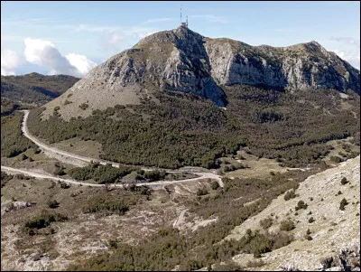 Quel alphabet est officiellement utilisé au Monténégro ?