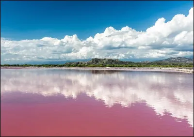 Quel phénomène est à l'origine de la couleur rose du lac Retba situé dans l'ouest du Sénégal ?
