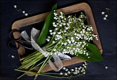 Quelle fleur vend-on le premier jour du mois de mai ?