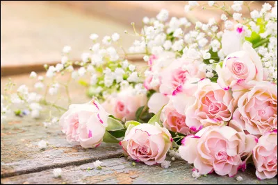 Dans quel département la commune de L'Haÿ-les-Roses est-elle située ?