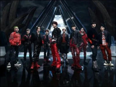 Qui sont les membres Japonais ? (Treasure)