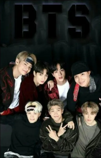 Quel est leur nom de fandom ? (BTS)